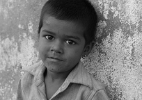 环保无污染的秋思电话轰炸平台