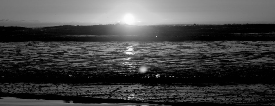 永久激活版本的秋思电话轰炸平台